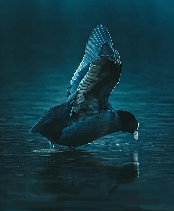 photography3-slider-pic3